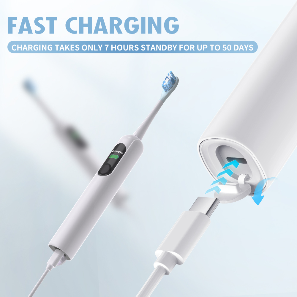 X800-U Electric Toothbrush USB - Teeth Whitening Toothbrush 评论和价格