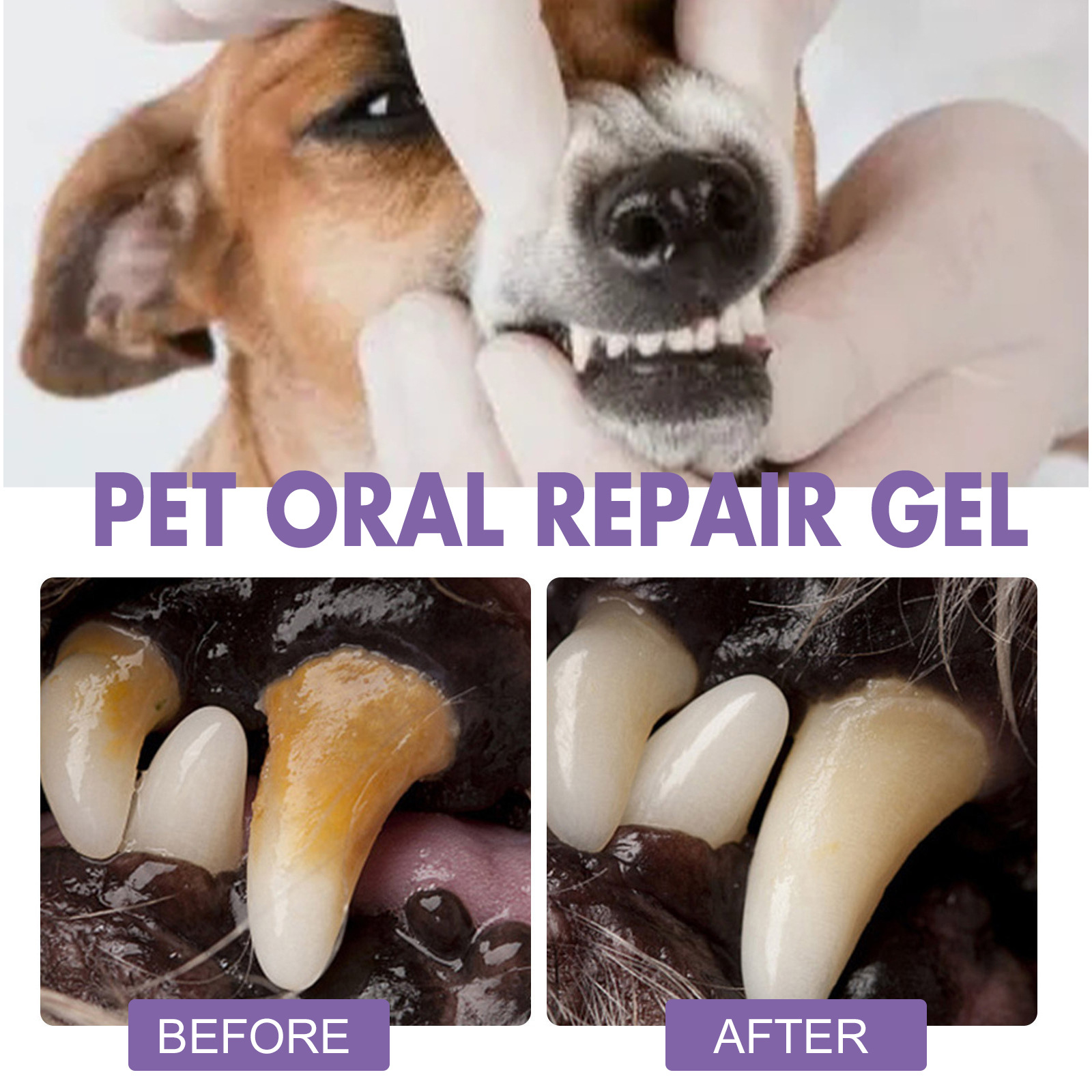 Pet Oral Repair Gel Puppy Tart - Teeth Whitening Procedure 评论和价格